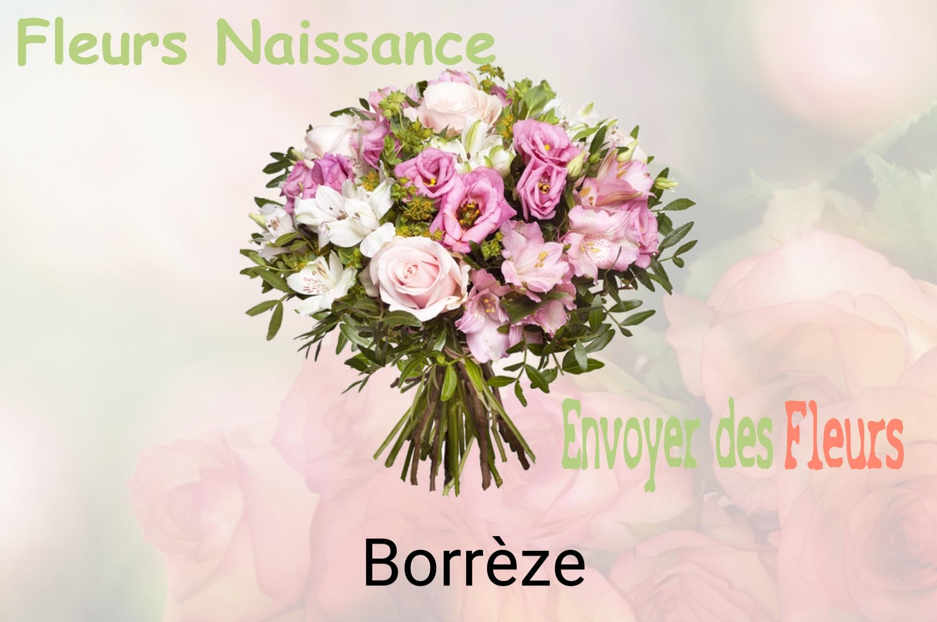 Bouquet de fleurs de naissance livré à Borrèze