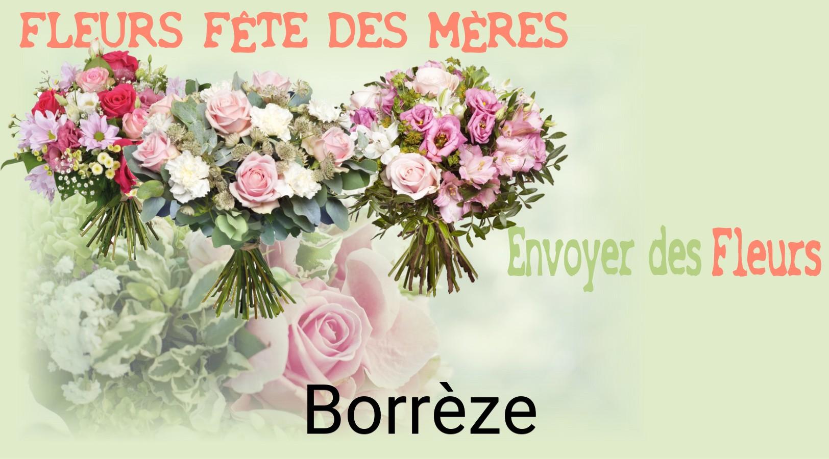 Bouquet de Fête des Mères livré à Borrèze